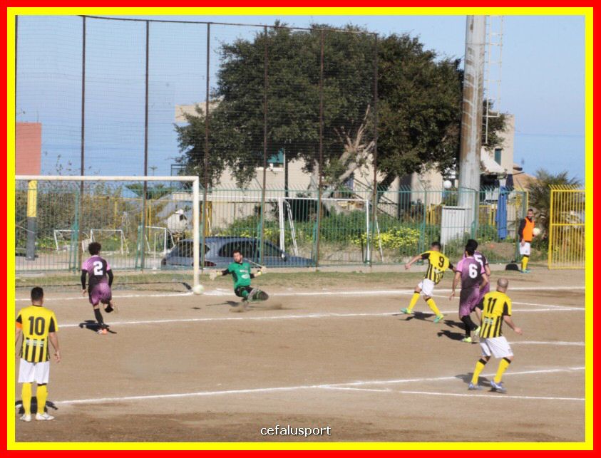 190310 Cephal_Torrenov 089_tn.jpg